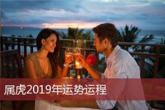 属虎2019年运势运程