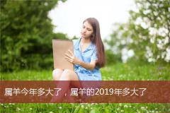 属羊今年多大了，属羊的2019年多大了