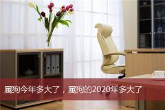 属狗今年多大了，属狗的2020年多大了