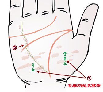 手相看病 手相面相 手相面相大全