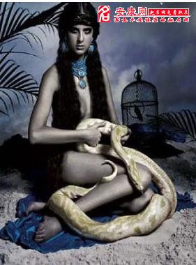 孕妇梦见蛇缠身是什么意思|孕妇梦见蛇缠身