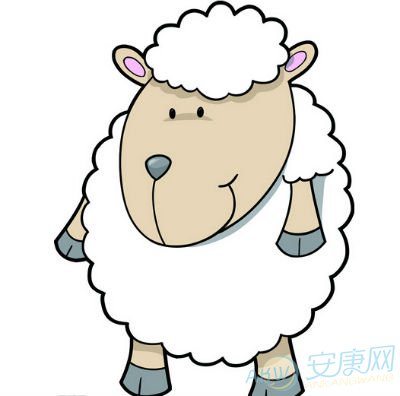 属羊男人的性格特点 