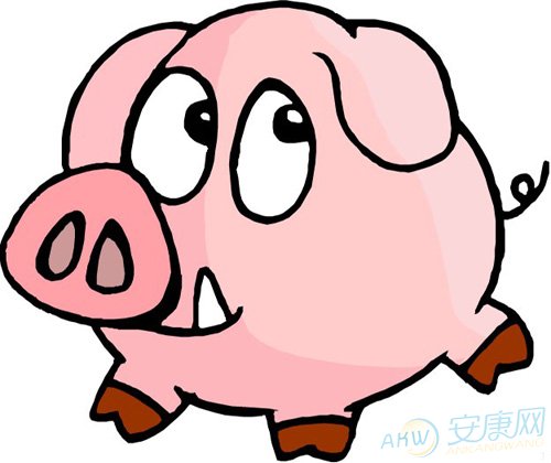 宋韶光2016猪年运程