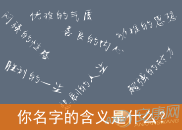 8-150P41A334264.jpg