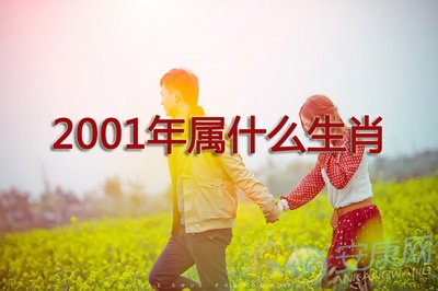 2001年属什么生肖