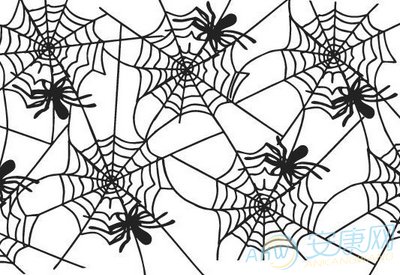 【梦见蜘蛛网和蜘蛛】梦见满屋的蜘蛛网