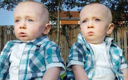 周姓双胞胎男孩取名