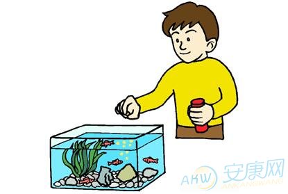 给小鱼喂食卡通图片图片