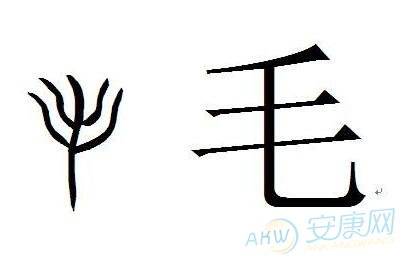 毛姓取名字大全(图)