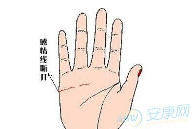 啥手纹表示婚姻不利 手纹看婚姻