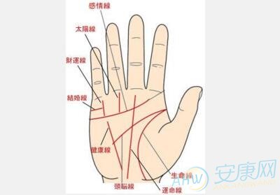 [手纹图解]看手纹预知你的健康状况