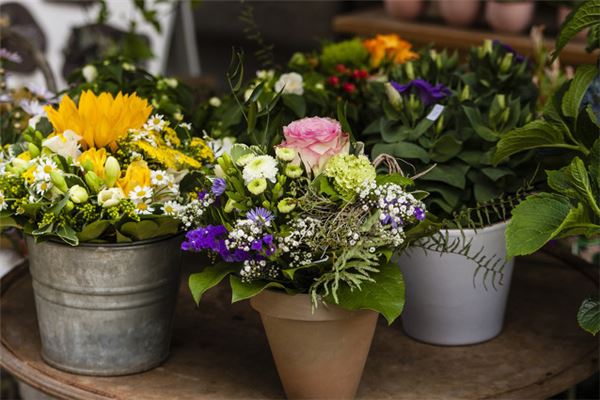 花店取名特别点的名字(花店取名特别点的名字免费)